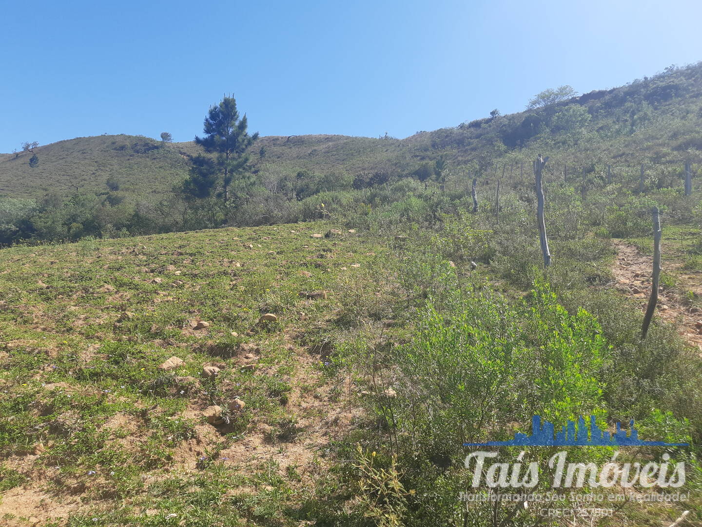 Sítio, 4 quartos, 10 m² - Foto 18