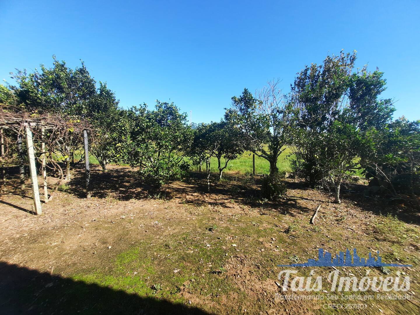 Casa à venda com 3 quartos, 940m² - Foto 12