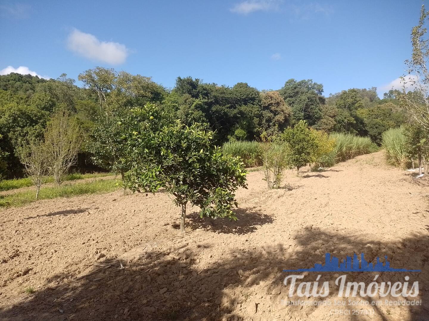 Sítio, 2 quartos, 3 m² - Foto 16