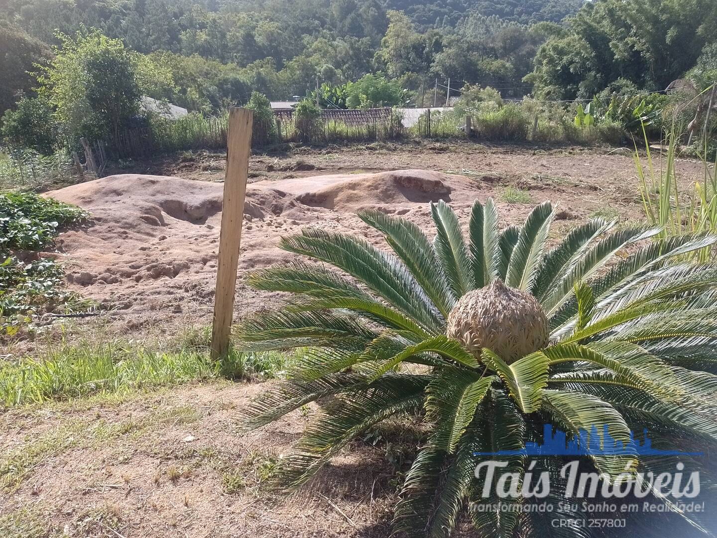 Sítio, 2 quartos, 3 m² - Foto 20