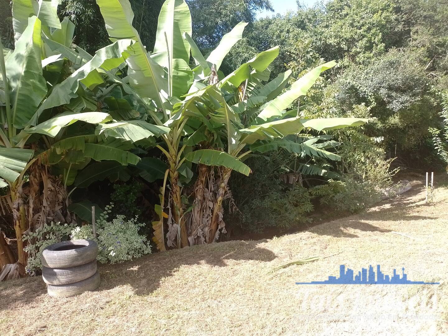 Sítio, 2 quartos, 3 m² - Foto 26