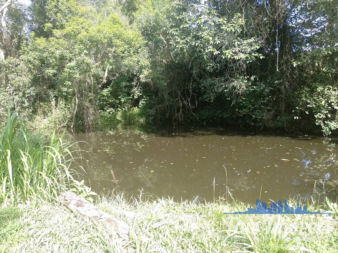 Sítio, 2 quartos, 3 m² - Foto 28