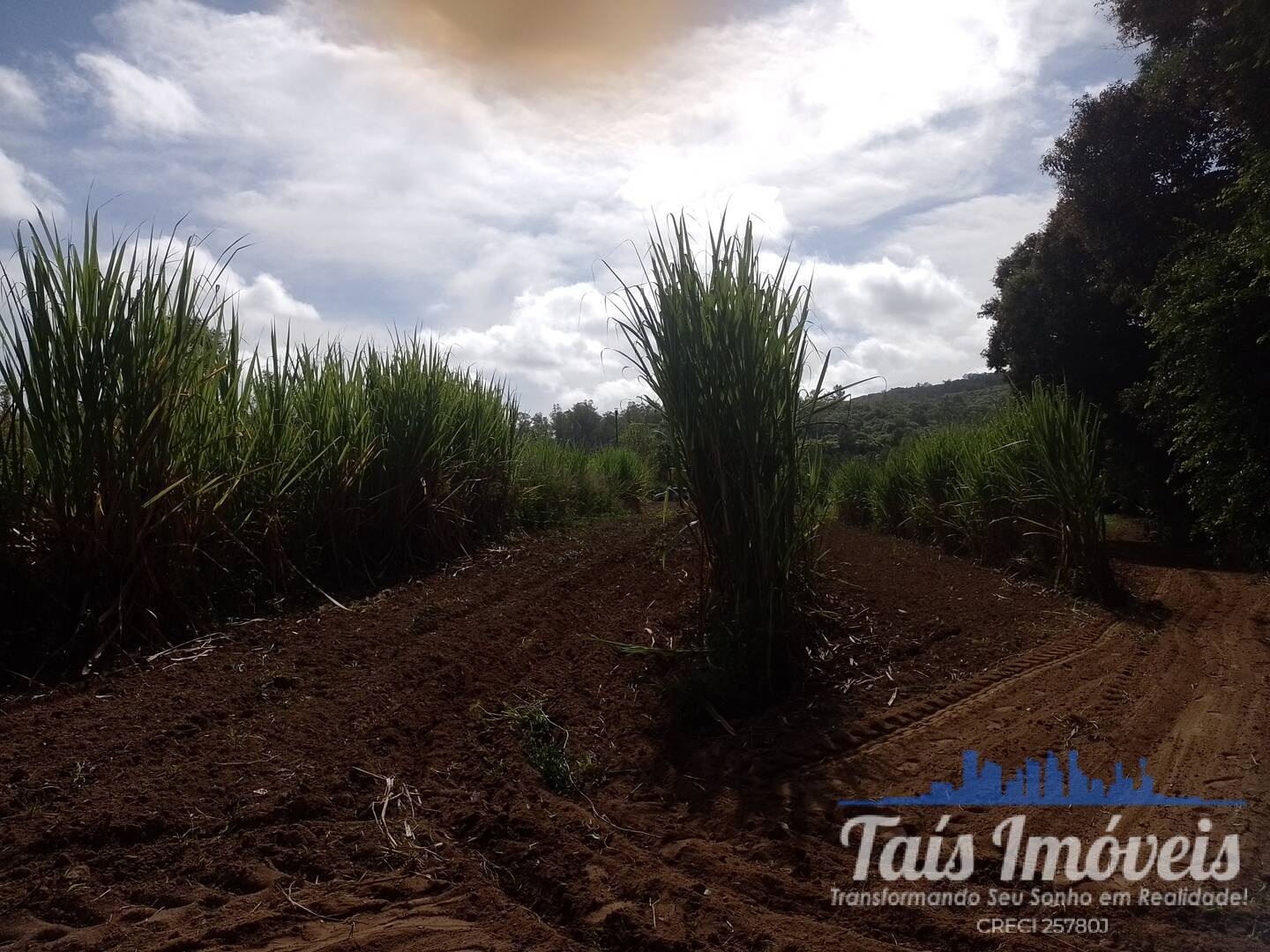 Sítio, 2 quartos, 3 m² - Foto 30