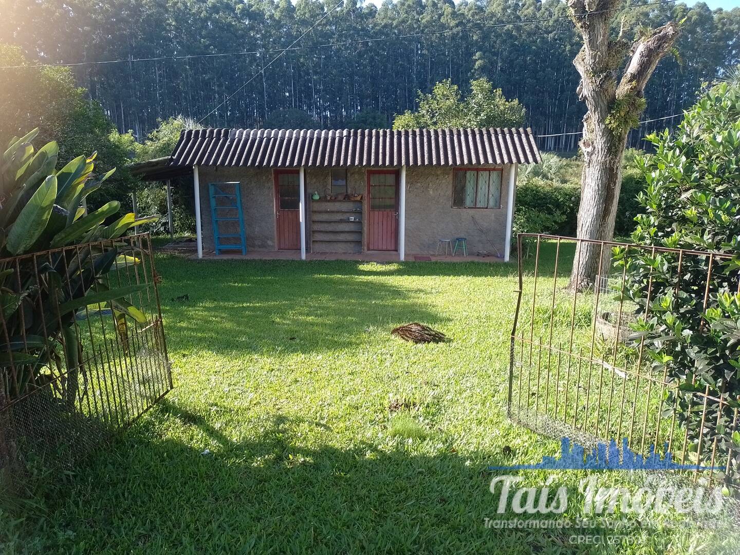 Sítio, 4 quartos, 17 hectares - Foto 6