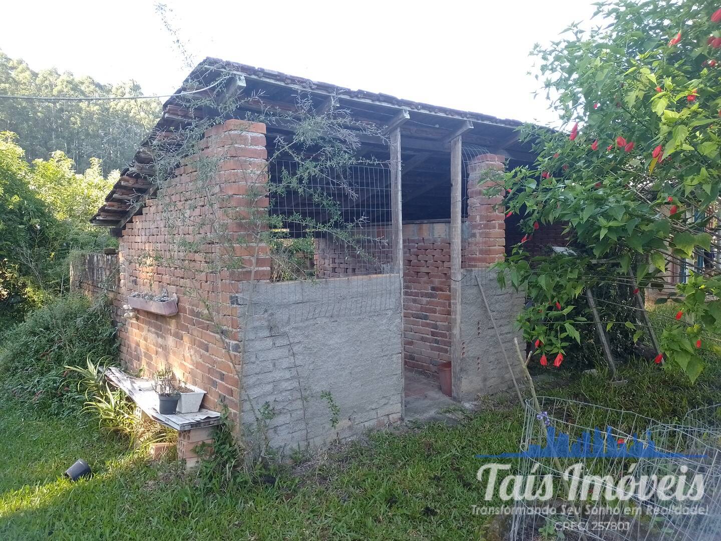 Sítio, 4 quartos, 17 hectares - Foto 8