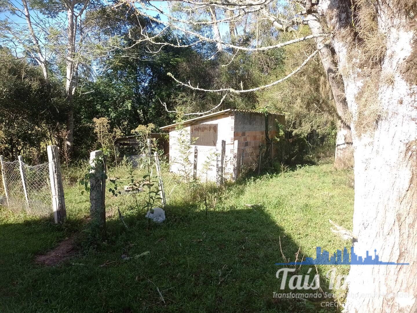 Sítio, 4 quartos, 17 hectares - Foto 9