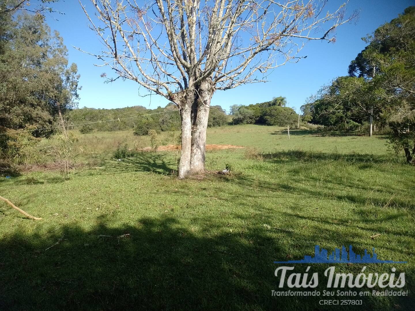 Sítio, 4 quartos, 17 hectares - Foto 10