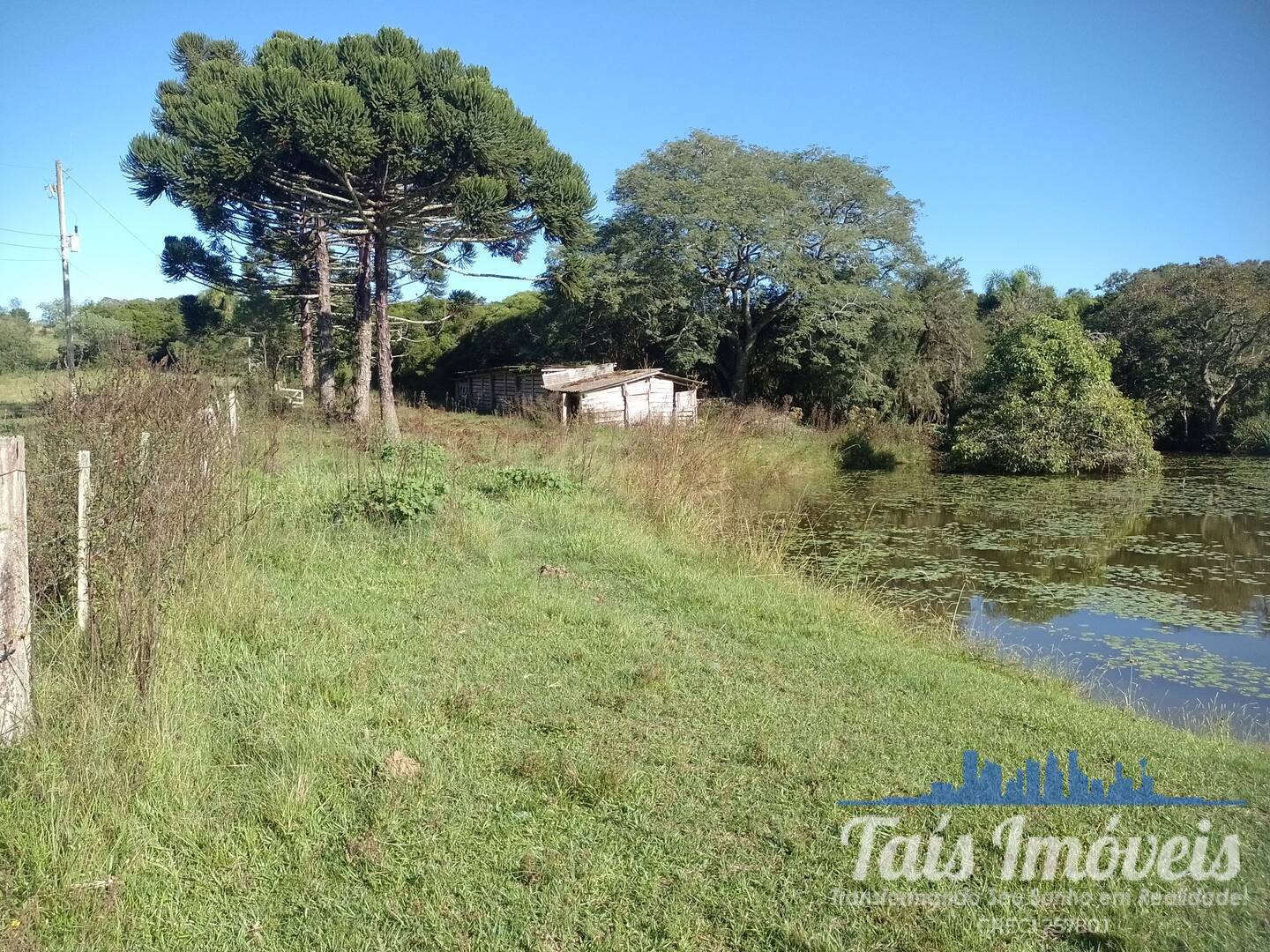 Sítio, 4 quartos, 17 hectares - Foto 12