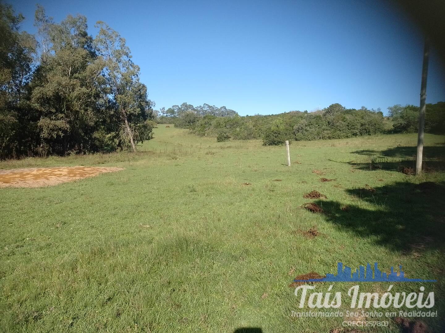 Sítio, 4 quartos, 17 hectares - Foto 14