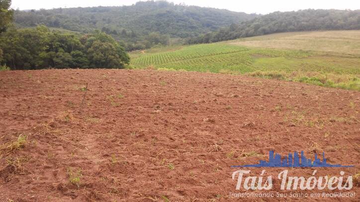 Sítio, 2 quartos, 3 m² - Foto 9