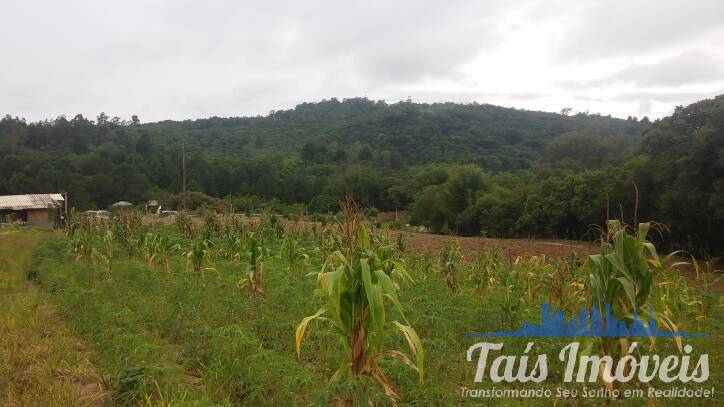 Sítio, 2 quartos, 3 m² - Foto 10